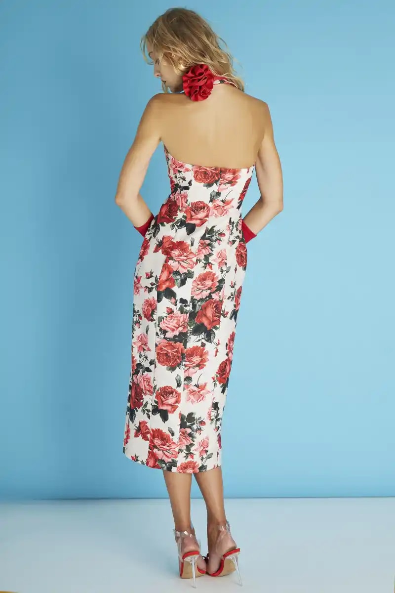ROSAS VESTIDO 2